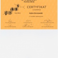 Powiększ obraz: certificate 1
