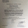 Powiększ obraz: certificate 27