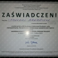 Powiększ obraz: certificate 40