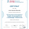 Powiększ obraz: certificate 37