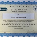 Powiększ obraz: certificate 21