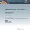 Powiększ obraz: certificate 7