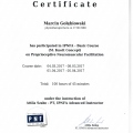 Powiększ obraz: certificate 1