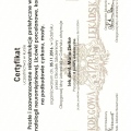 Powiększ obraz: certificate 2