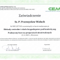 Powiększ obraz: certificate 13