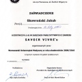 Powiększ obraz: certificate 23
