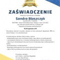 Powiększ obraz: certificate 6