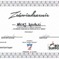 Powiększ obraz: certificate 23