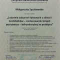 Powiększ obraz: certificate 4