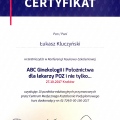 Powiększ obraz: certificate 6