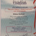 Powiększ obraz: certificate 8