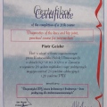 Powiększ obraz: certificate 2