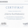 Powiększ obraz: certificate 11