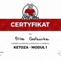 Powiększ obraz: certificate 13