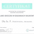 Powiększ obraz: certificate 12