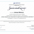 Powiększ obraz: certificate 5