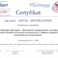 Powiększ obraz: certificate 9