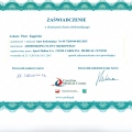 Powiększ obraz: certificate 11