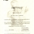 Powiększ obraz: certificate 3