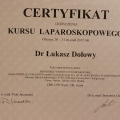 Powiększ obraz: certificate 3