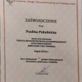 Powiększ obraz: certificate 6