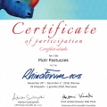 Powiększ obraz: certificate 3