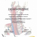Powiększ obraz: certificate 10