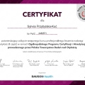 Powiększ obraz: certificate 1
