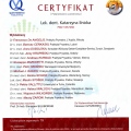 Powiększ obraz: certificate 7
