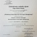 Powiększ obraz: certificate 6