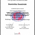 Powiększ obraz: certificate 29