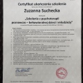 Powiększ obraz: certificate 5
