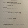 Powiększ obraz: certificate 1