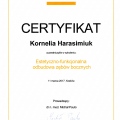 Powiększ obraz: certificate 4