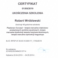 Powiększ obraz: certificate 13