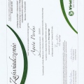 Powiększ obraz: certificate 13