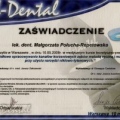 Powiększ obraz: certificate 8