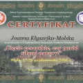 Powiększ obraz: certificate 5