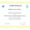Powiększ obraz: certificate 13