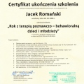 Powiększ obraz: certificate 6