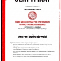 Powiększ obraz: certificate 7