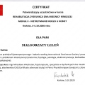 Powiększ obraz: certificate 3