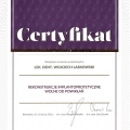 Powiększ obraz: certificate 1