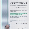 Powiększ obraz: certificate 3