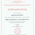 Powiększ obraz: certificate 6