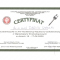 Powiększ obraz: certificate 41