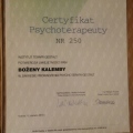 Powiększ obraz: certificate 1