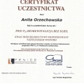 Powiększ obraz: certificate 6