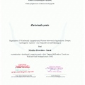 Powiększ obraz: certificate 13