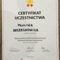 Powiększ obraz: certificate 25
